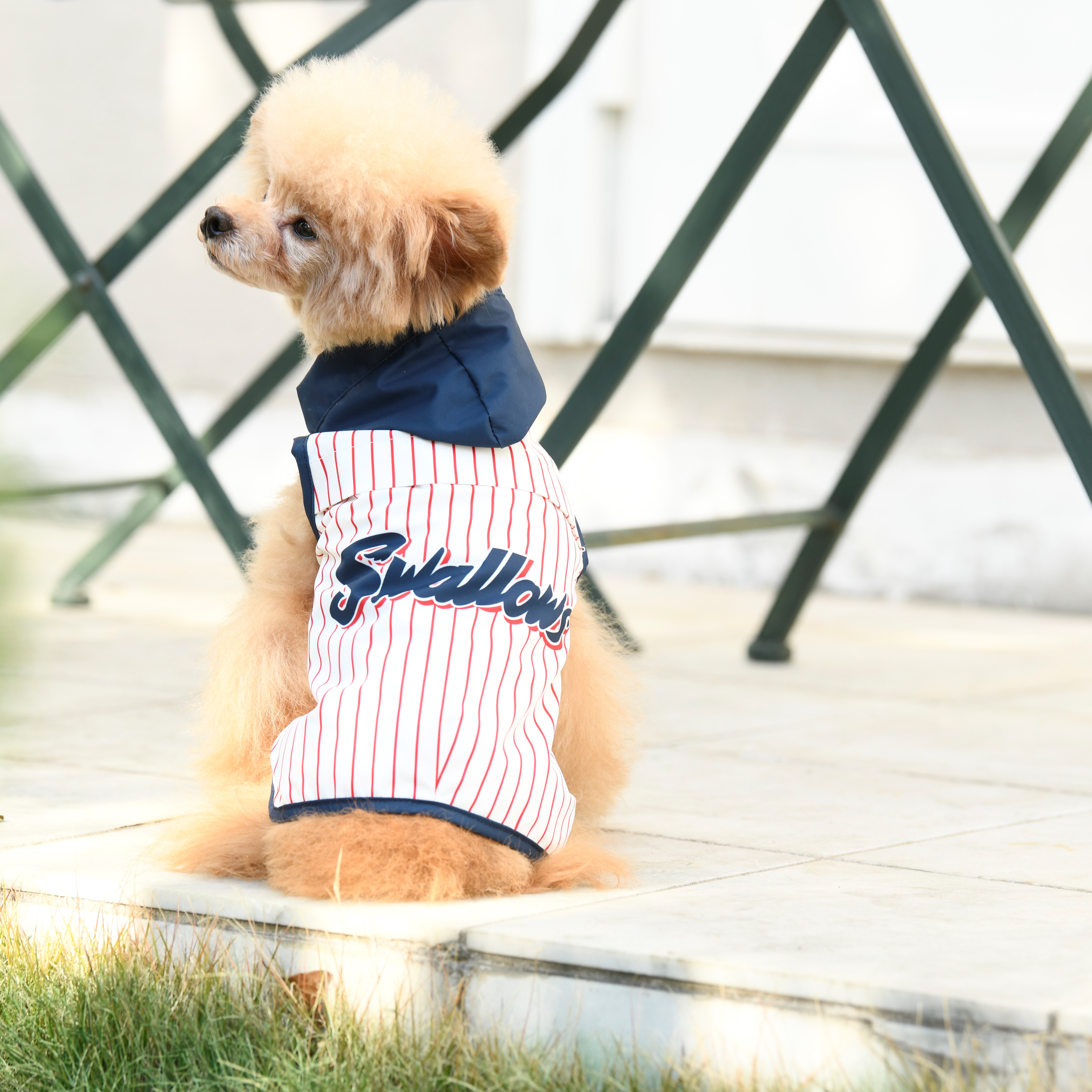 スワローズDOGレインコート