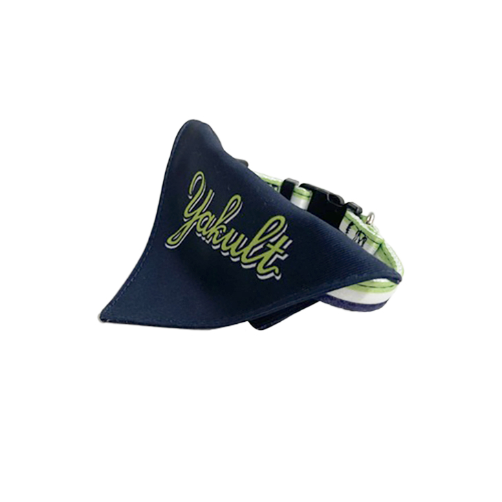 DOGカラー(ビジター)