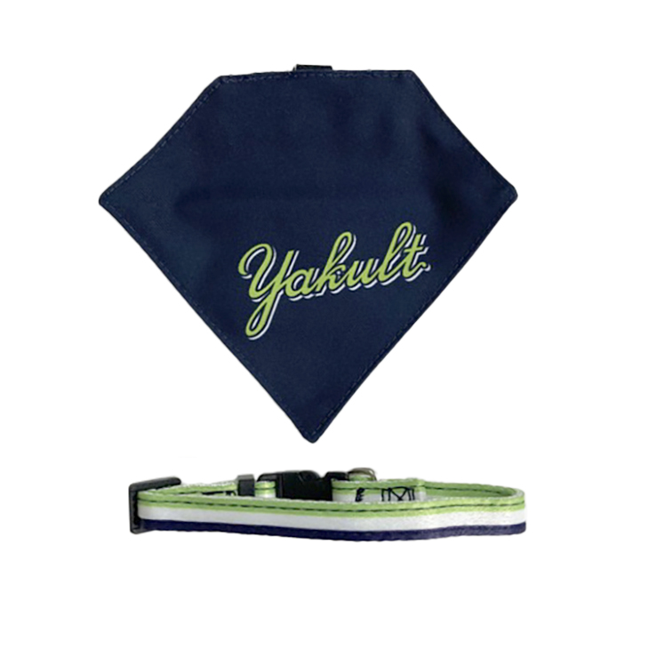 DOGカラー(ビジター)