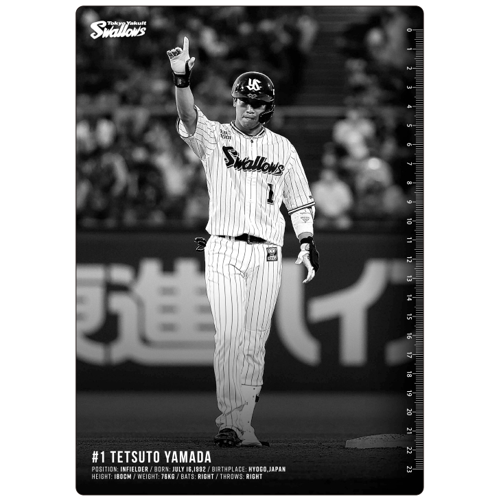 心折れるヤクルト 2024BlackFriday】下敷き（選手） | 東京ヤクルトスワローズ