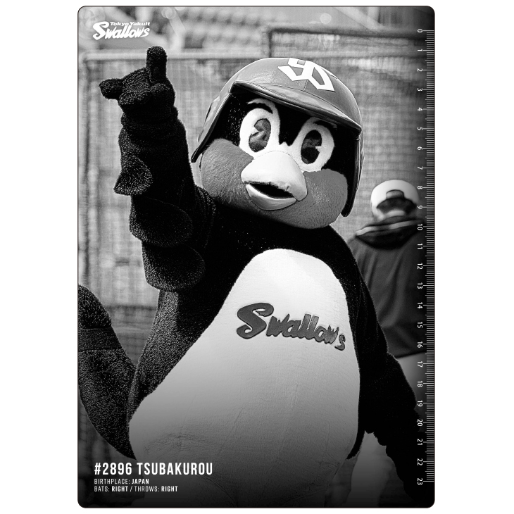 2024BlackFriday】下敷き（選手） | 東京ヤクルトスワローズ