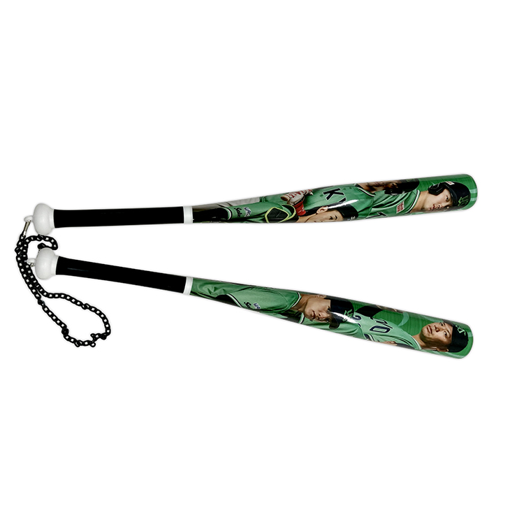 【2025年BF】【2024年燕プロ】2024燕パワー選手ビジュアルカンフーバット