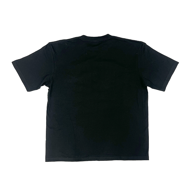 【2025年2月新商品】ビッグSWALLOWSロゴTシャツ