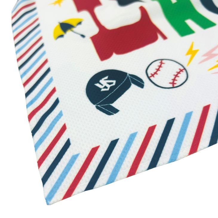 【2025年BF】【2025年LadiesDay】収納袋付き涼感フェイスタオル（全12種）