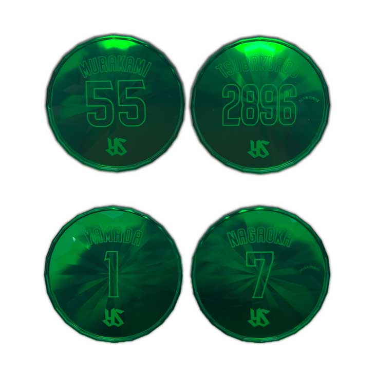 【2025年燕プロ】メタリックコースター