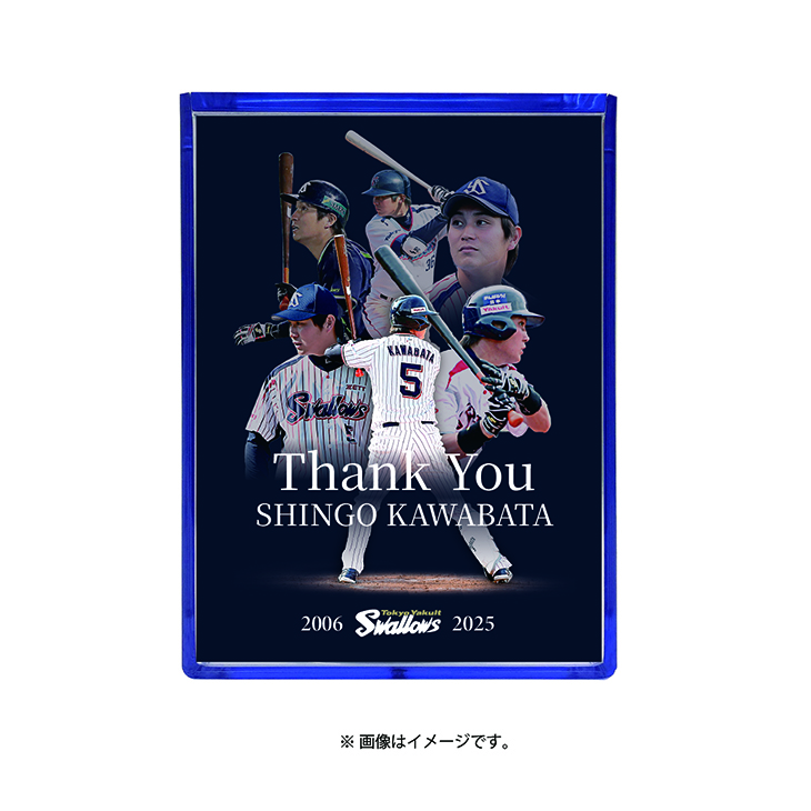 【記念】川端慎吾 引退記念ロゴボール（ケース付）