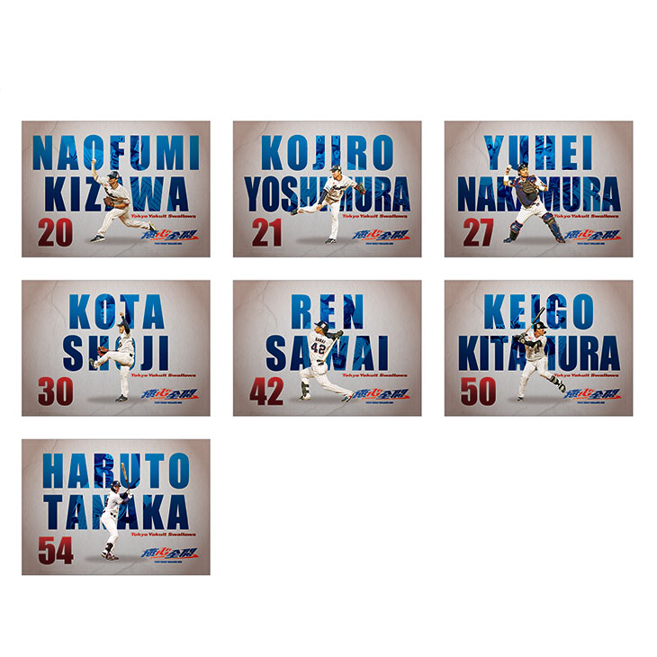 【2026年オープン戦新商品】燕心全開 ブランケット