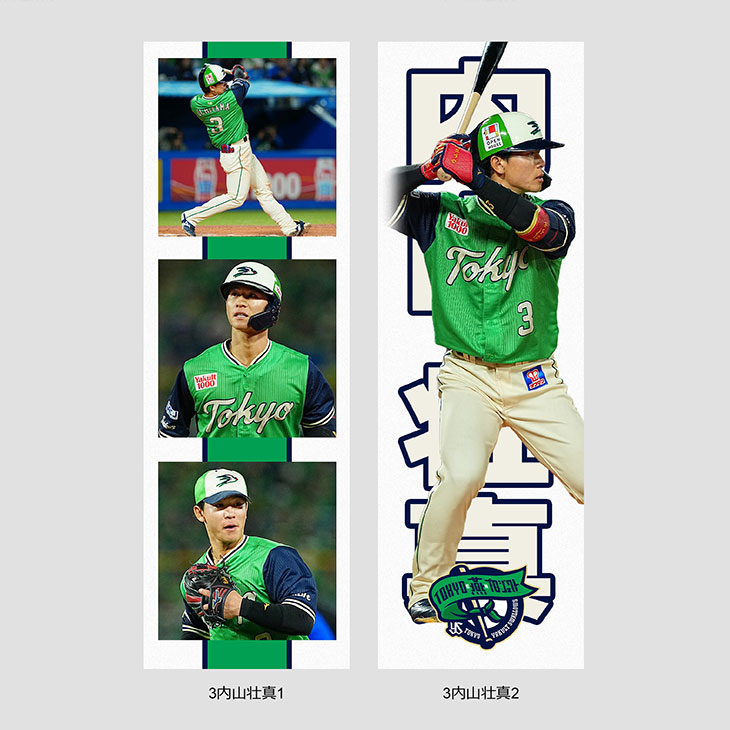 選手: 岩田 幸宏 | 東京ヤクルトスワローズ オフィシャルネットショップ